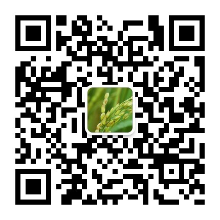 qrcode_for_gh_2071c1a5ea94_430